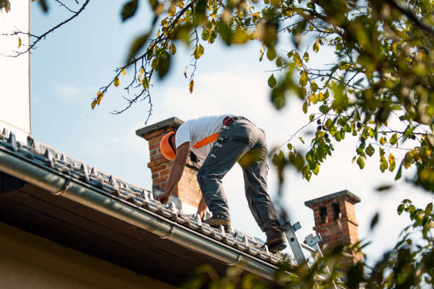 Quick and Trustworthy Emergency Roof Repair Services in West Monroe, MI
