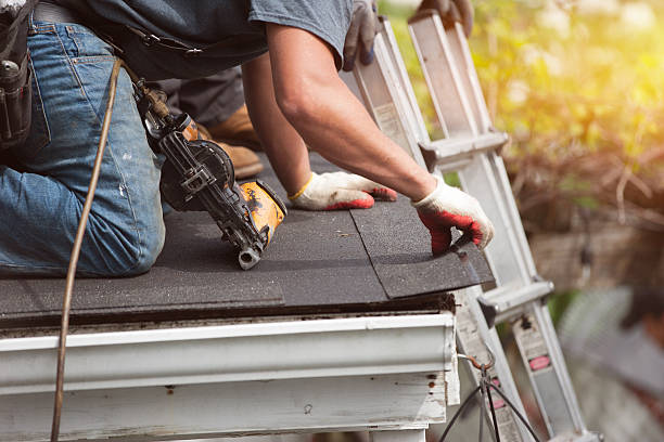 Best Residential Roofing Contractor  in West Monroe, MI