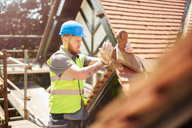 Best Local Roofing Companies  in West Monroe, MI